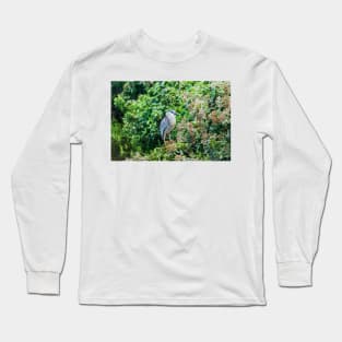 Black-crowned night heron of Honolulu 2 Long Sleeve T-Shirt